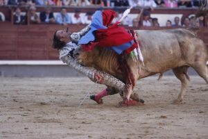 Spanish Bullfighter Julio Aparicio is gored by a bull during a bulfight of the San Isidro Feria at the Las Ventas bullring in Madrid, on may 21, 2010