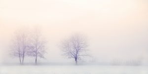 winter-landscape-2571788_1280