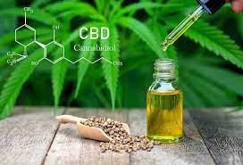 What is CBD, and how does it work?