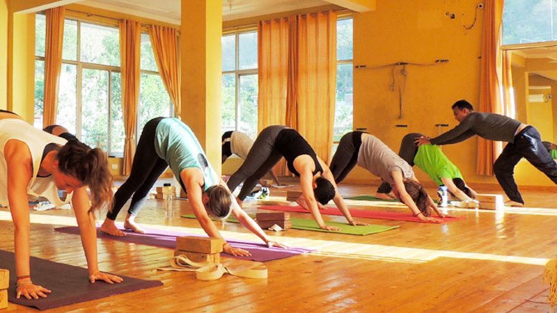 Yoga Teacher Training In Rishikesh Decoded