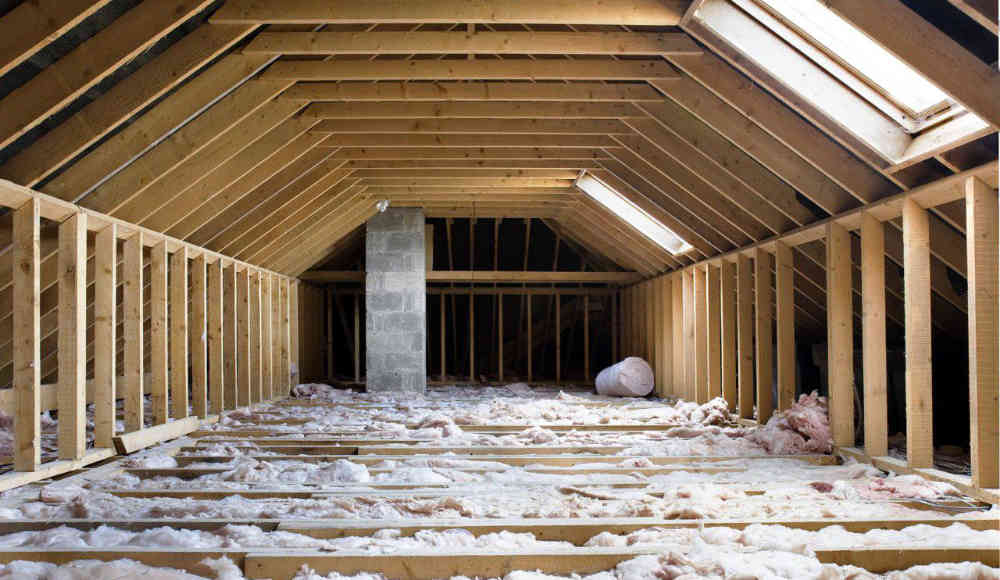 What to Look for When Hiring a Cleaning Company for Your Crawl Space and Attic