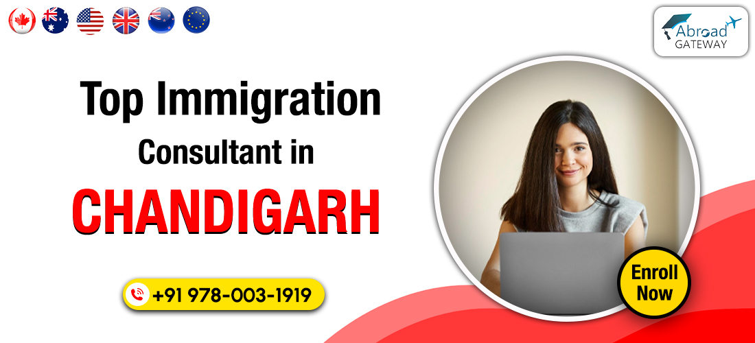 Visa Consultant in Chandigarh Navigating Visa Regulations with Ease