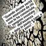 Aforismi di Stefano Ligorio – Le verità svuotate…
