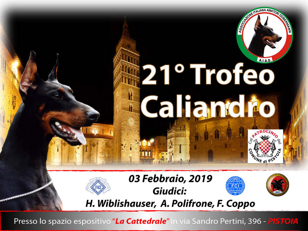Trofeo Caliandro 2019 per gli Amanti dei cani Dobermann #amatoridobermann