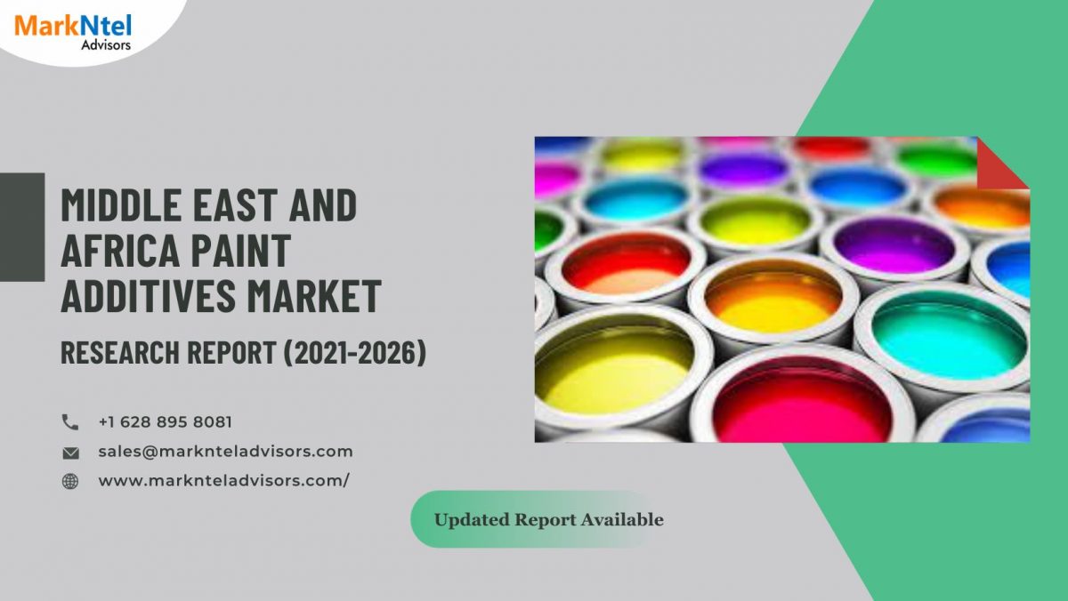 Middle East and Africa Paint Additives Market