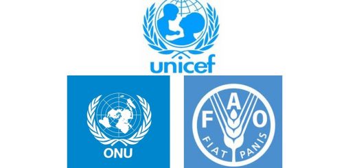 UNI.ONU.FAO.1