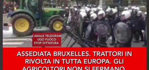AgricBruxelles