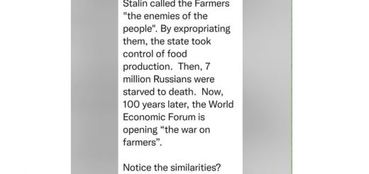 Stalin.1