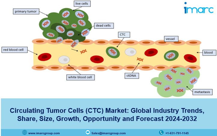 Circulating Tumor Cells (CTC) Market