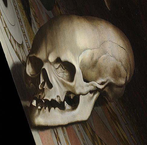 487px-Holbein_Skull