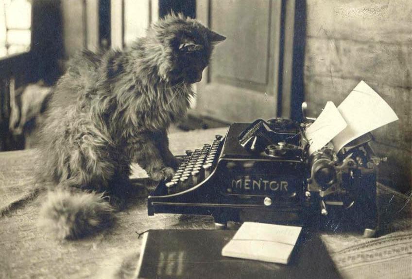 cat-typewriter-2