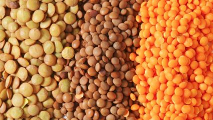 Lenticchie, benefici e rischi nel cibo, qual è la sua composizione chimica, ricette per cucinare i cereali.