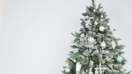 Pro e contro di un albero di Natale vivo e artificiale, quale albero di Natale è meglio mettere a casa.