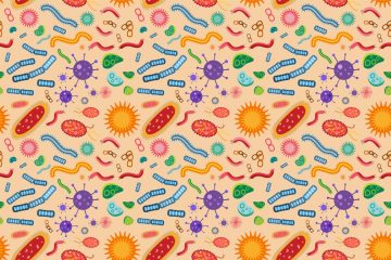 La vita è dentro di noi, i batteri per l'immunità, la radiosità e una piccola vita