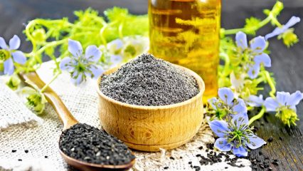 Olio di cumino nero, benefici, controindicazioni