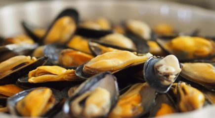 I benefici dei frutti di mare