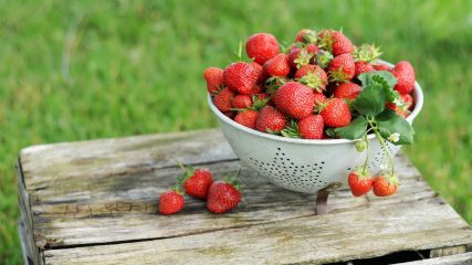 Fragole, benefici e danni all'organismo, vitamine e proprietà benefiche