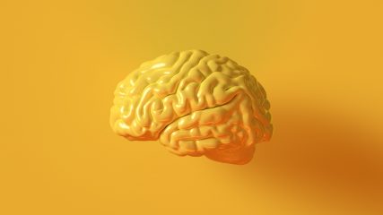 Come ricablare il tuo cervello e iniziare a vivere meglio