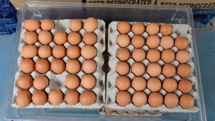 Uova, composizione, benefici e rischi. Cosa succede se mangi uova tutti i giorni