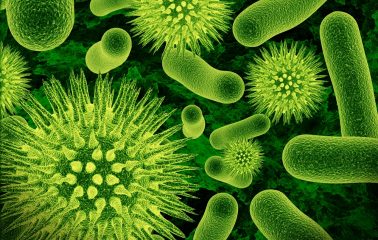 Cos'è il microbioma e perché dobbiamo saperlo