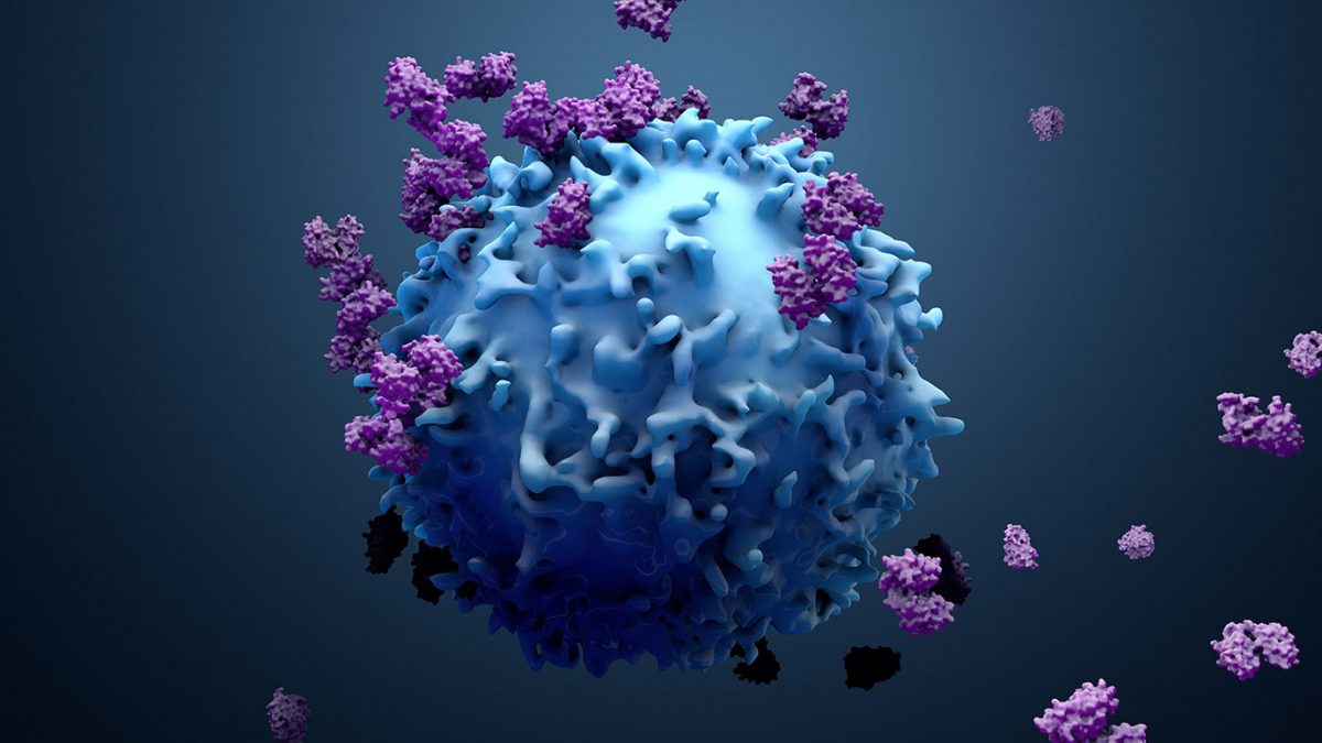 India Cancer Immunotherapy