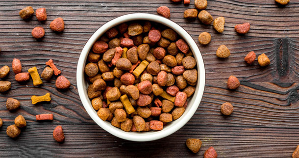 India Pet Food Market Key Factors and Emerging Opportunities with Current Trends Analysis 2024 – 2032