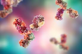 Monoclonal Antibody Custom Service Market Analytical Overview, Technological Innovations with Economic Indicators By 2016 – 2030