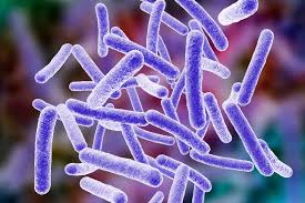 Nontuberculous Mycobacterial (NTM) Infection Market Analysis, Size, Share, Growth, Trends And Forecast Opportunities To 2024 – 2032