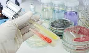Pharmaceutical Rapid Microbiology Testing