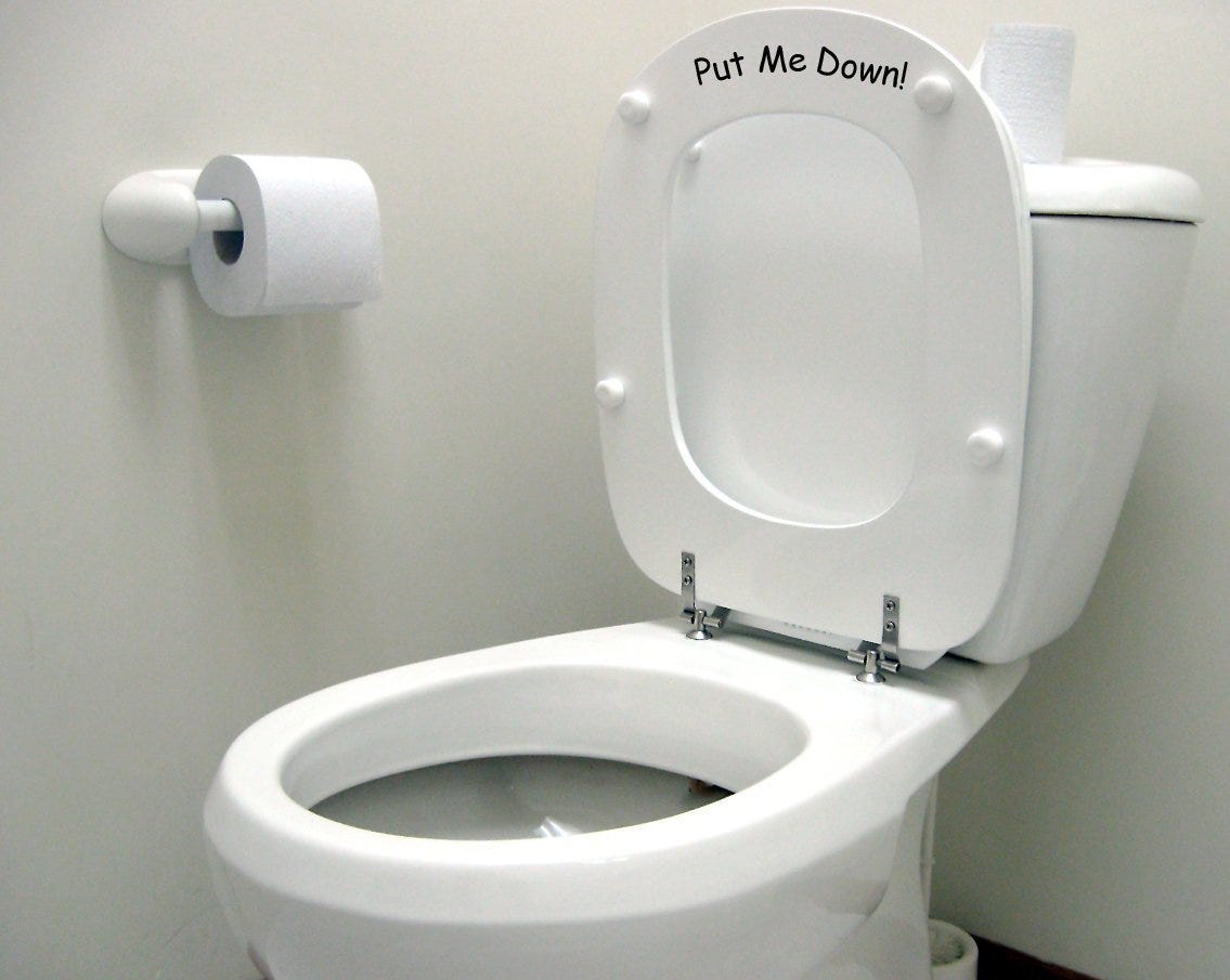 Toilet Seat