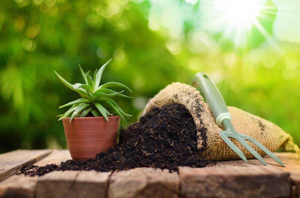 Europe Organic Fertilizers Market 2024 | Industry Size, Trends, Growth, Insights and Forecast 2032