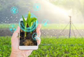 Smart Plantation Management Systems Market Analysis by Application, Technology, Region and Business Growth Drivers by 2027