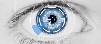 Iris Recognition