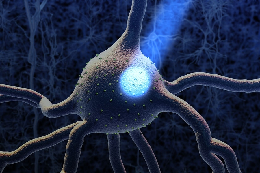 Optogenetics Market