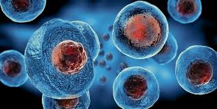 Regenerative Medicine Market Outlook Industry Analysis, Size, Share, Growth, Trends and Forecast, 2032