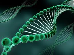 Nucleic Acid Isolation and Purification