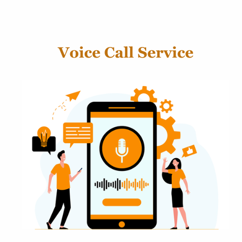 The Power of Bulk Voice Call Services for Election Campaign