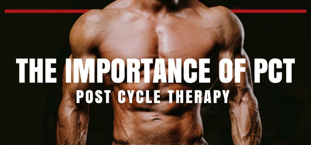 The Essential Guide to Best Post Cycle Therapy for Bodybuilders