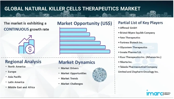 Natural Killer Cells Therapeutics Market Size, Share, Industry Trends, Segmentation & Forecast Analysis 2024-2032