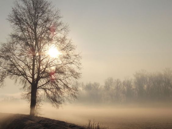 nebbia rosa