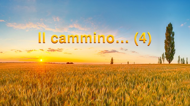 Il cammino… (4)