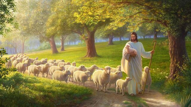 le pecore di Dio ascoltare la voce di Dio