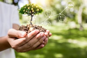 save-world-innovation-concept-girl-holding-small-plant-tree-sapling-are-growing-up-from-soil-palm-with-connection-line-ecology-conservation-concept-min