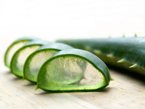 aloe vera benefici