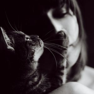 cat-loves-woman