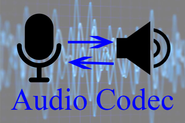 Audio CODEC Market Size, Share, Latest Trends, Overview 2023-2028