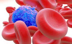 Circulating Tumor Cells (CTC) Market Size, Report 2023-2028