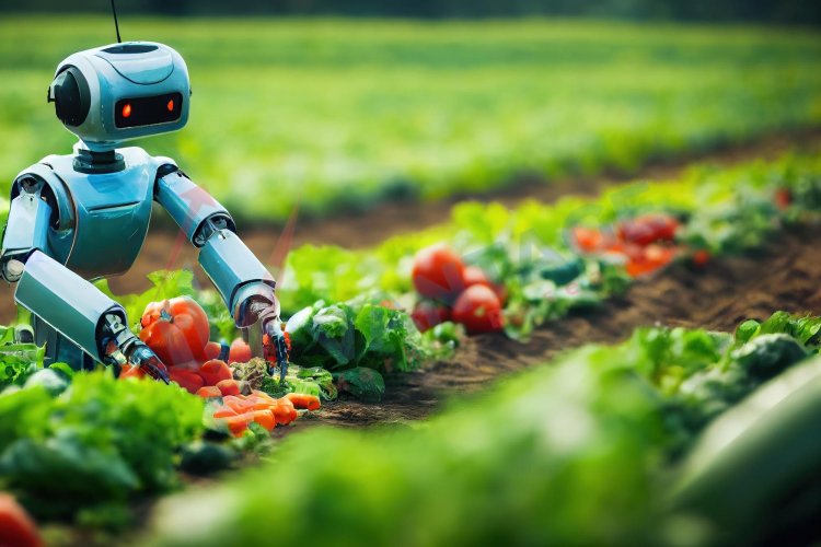 AI in Agriculture Market Size, Industry Demand, Growth, Forecast 2023-2028