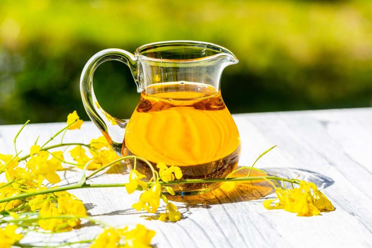 Rapeseed Oil Market Size, Price Trends, Demand, Report 2023-2028
