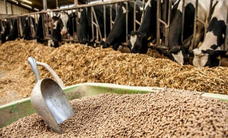 Animal Feed Organic Trace Minerals Market Price Trends, Report 2024-2032